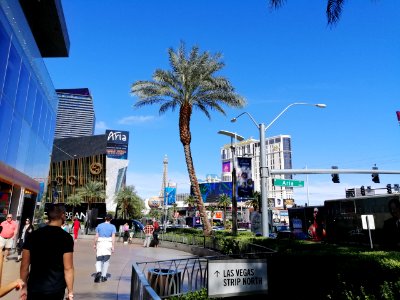 2019.10.11 Las Vegas photo