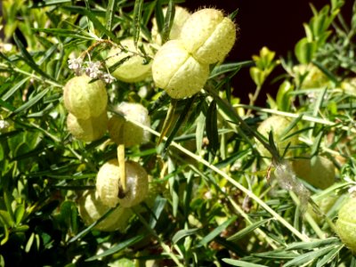 DSCF9021