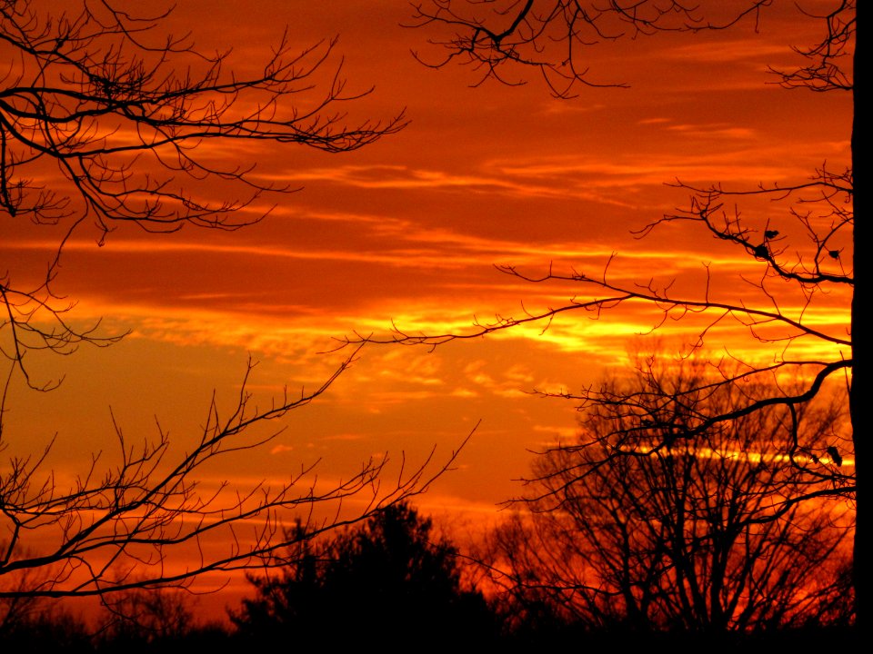 Sunset 140