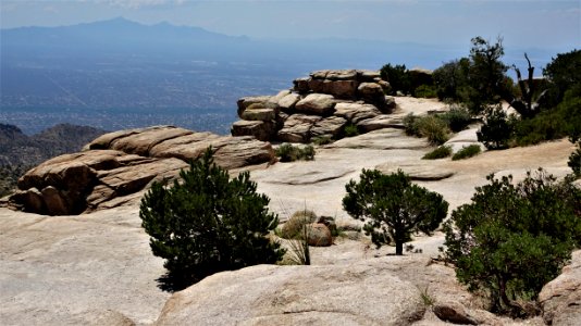 2019 09 02 Mt Lemmon (11)