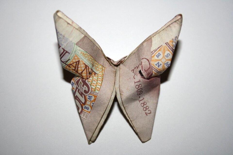 Butterfly origami bills