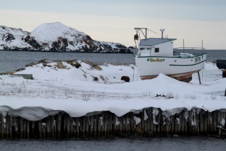 2011 - FEB 12 - 22 - NEWFOUNDLAND -056 Ferryland
