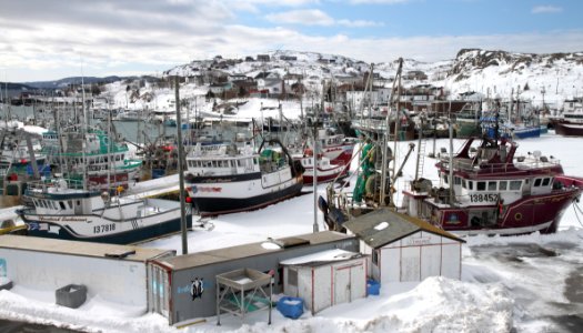 2011 - FEB 12 - 22 - NEWFOUNDLAND -077 Port de Grave (2)