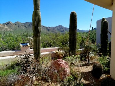 2019.0930 Saguaro National Park West