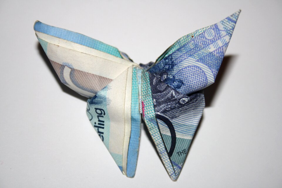 Currency butterfly origami