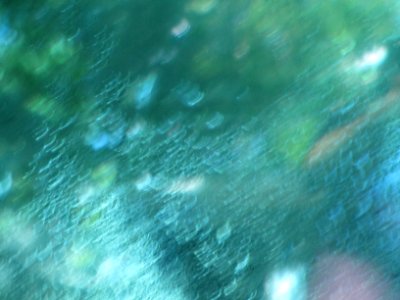 Texture 209