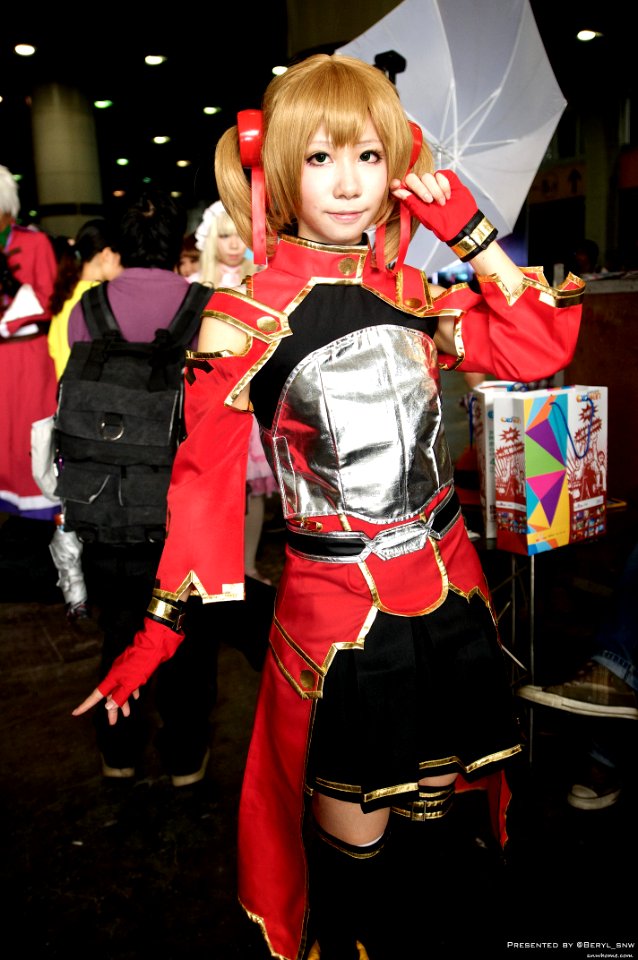 AniEx 2013