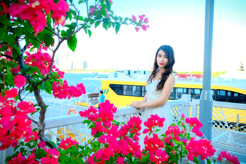 DSCF6119