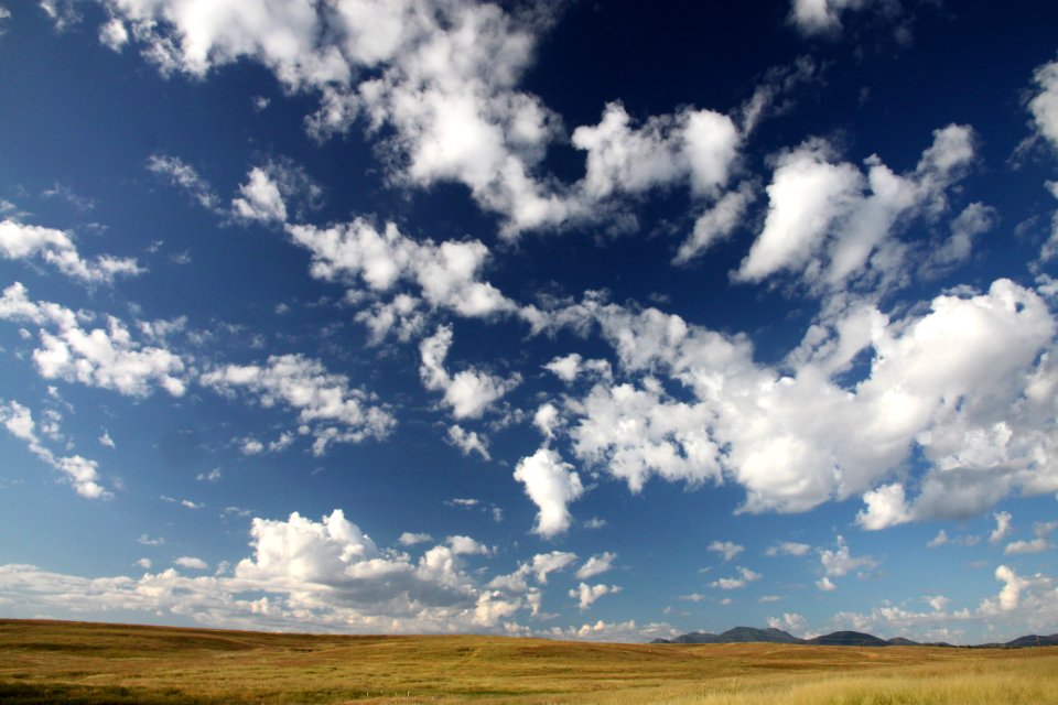 SAN RAFAEL VALLEY GRASSLANDS, SE of Patagonia, scc, az (9-15-11) -01 photo