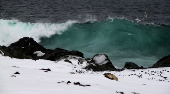 2011 - FEB 12 - 22 - NEWFOUNDLAND -065 near Torbay