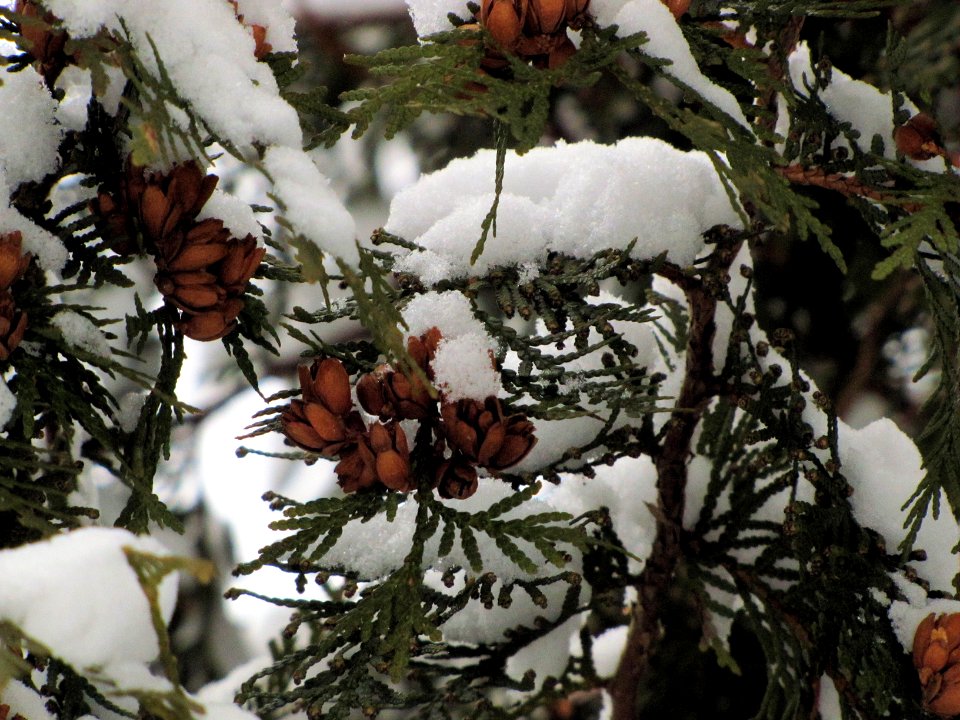 1 January 2012 008
