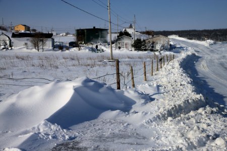 2011 - FEB 12 - 22 - NEWFOUNDLAND -033  Trepassey south end