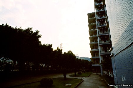 My School