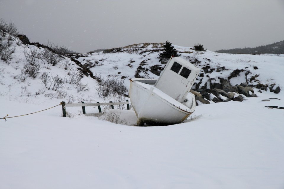 2011 - FEB 12 - 22 - NEWFOUNDLAND -057 Brigus South (6)