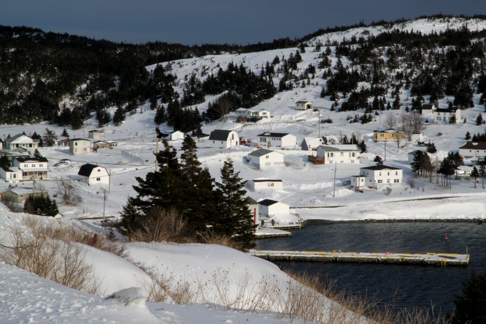 2011 - FEB 12 - 22 - NEWFOUNDLAND -054 Port Kirwan