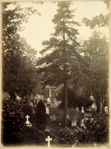Great Amwell Churchyard