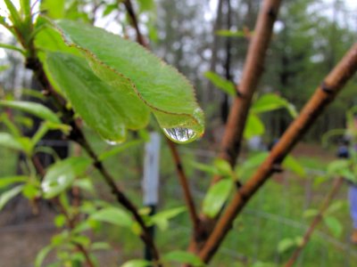 Reflection in a water drop