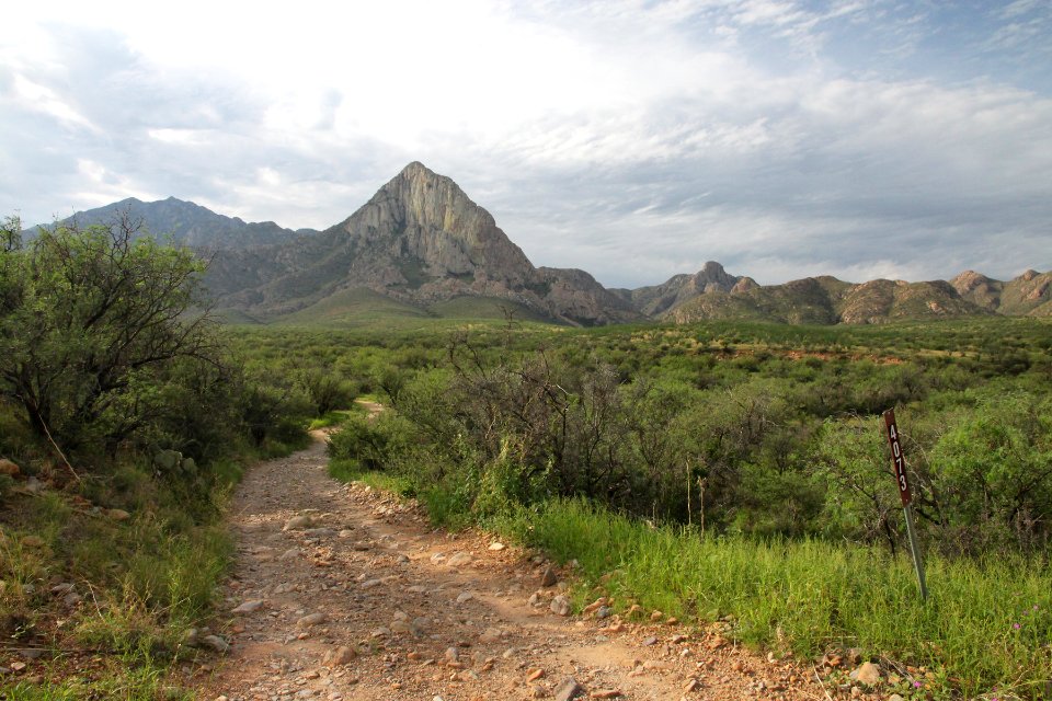CHINO CANYON -001a (8-9-11)