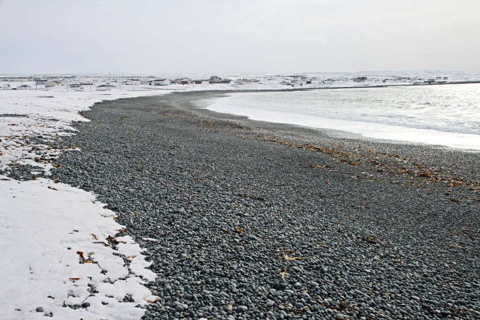 2011 - FEB 12 - 22 - NEWFOUNDLAND -039 Portugal Cove
