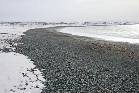 2011 - FEB 12 - 22 - NEWFOUNDLAND -039 Portugal Cove