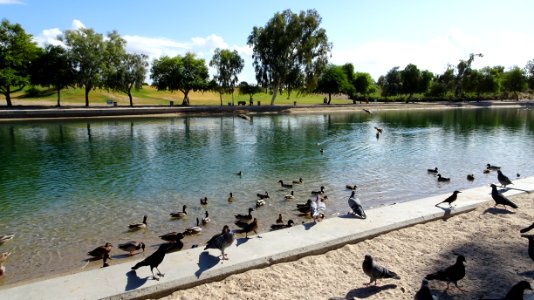 2019.10.13 Lake Havasu City