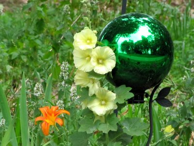 gazing ball, orange daylily, holly hock