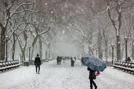 Central Park in the Snow (The Mall and Literary Walk)