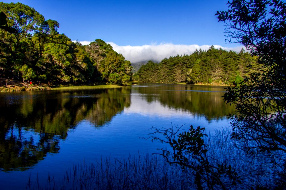 Laguna Don Manuel,El Empalme, Costa Rica