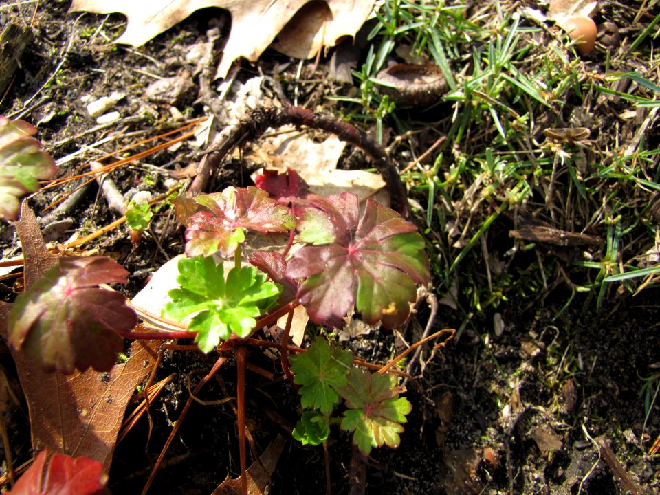 1 March 2012 129