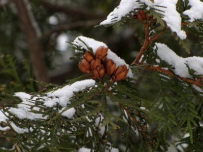1 January 2012 007