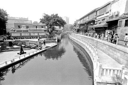 2011 :ILFORD PAN 100 Nikon FM2 [104]