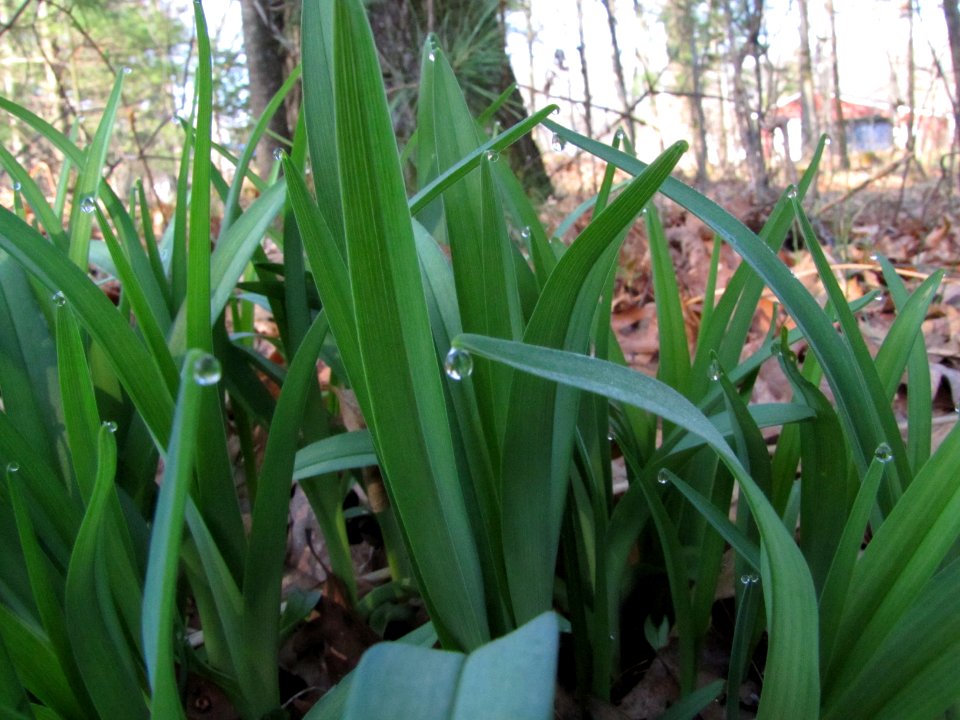 1 March 2012 260