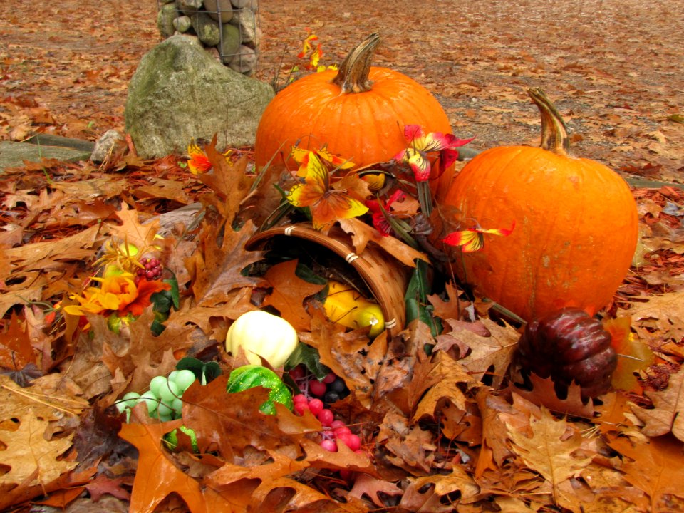 Fall Altar 898