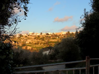 Cami Vell - Es Migjorn