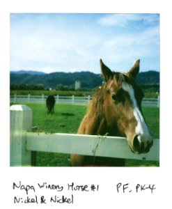 Nickel Nickel horses