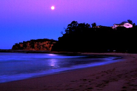 Oz-moonrise