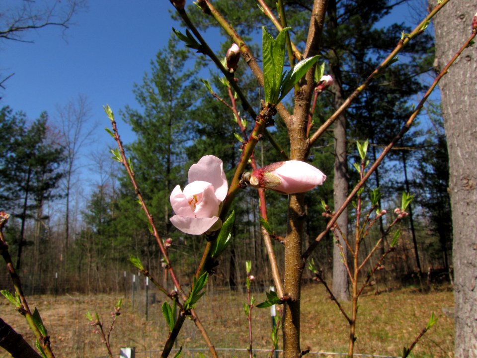 1 March 2012 328