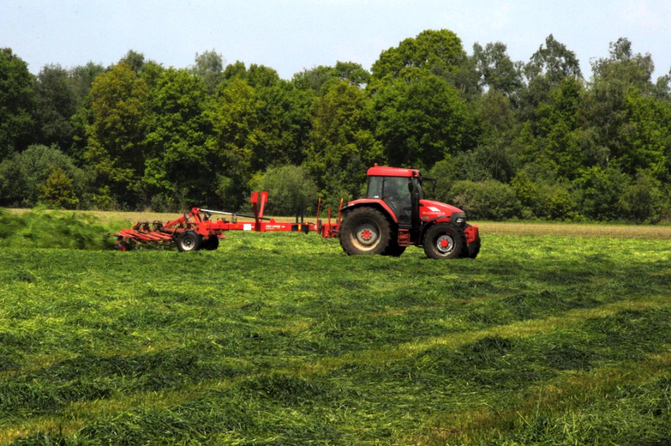 DSC 3511tractor gras