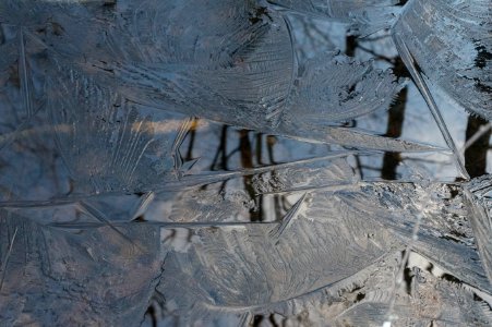 Interesting Ice Formations in the Bog