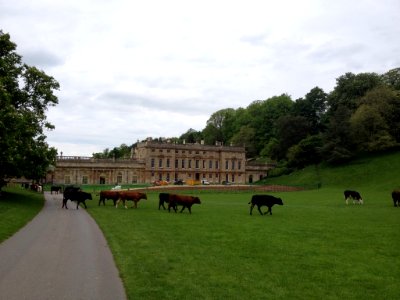 Dyrham Park