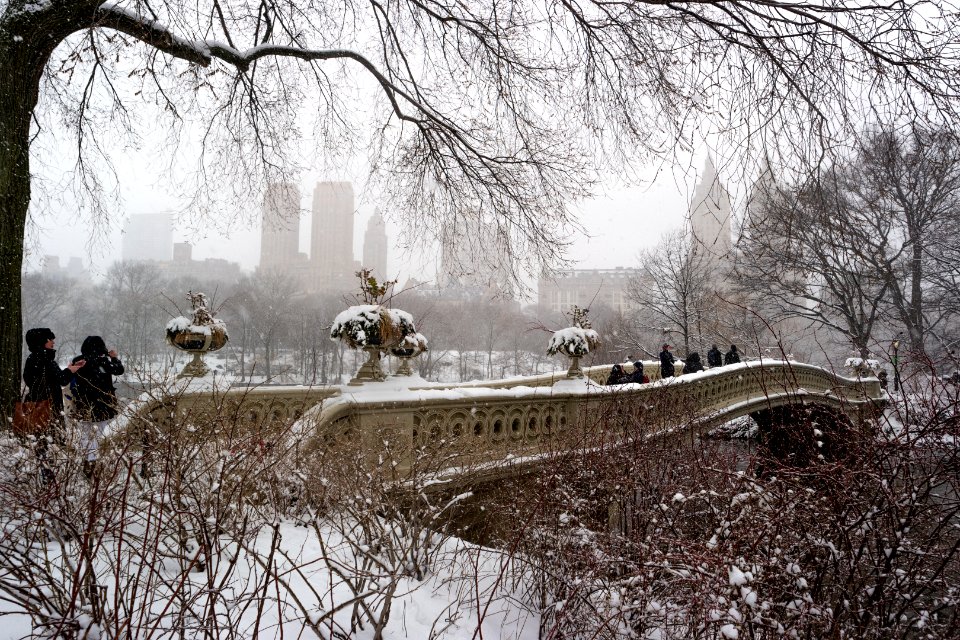 Bow Bridge, Central Park