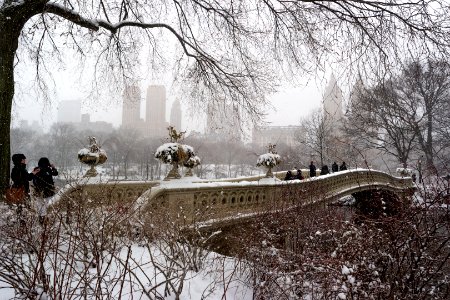 Bow Bridge, Central Park photo