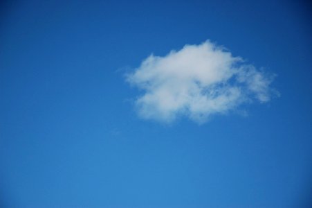 Clos Pegase the lonely cloud