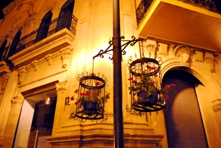 Flower's Jail