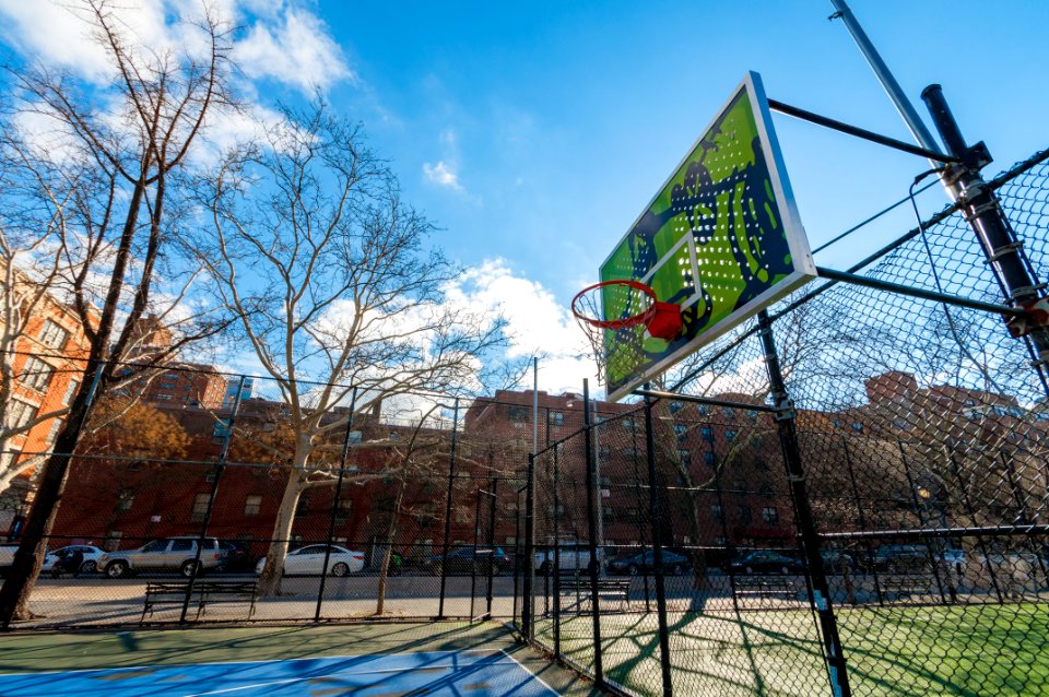 Colorful Court