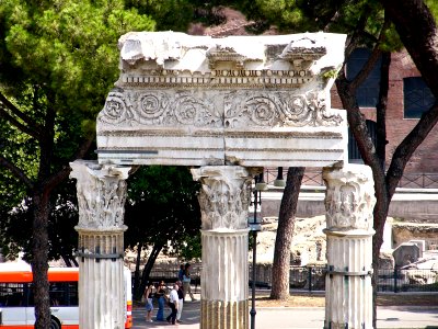 Victor Emmanuel II: Details