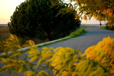 Marine walkway and photographer in sunset