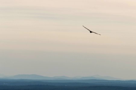 Soaring above the hills