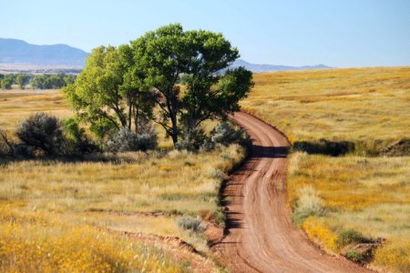 SAN RAFAEL VALLEY GRASSLANDS, SE of Patagonia, scc, az (10-10-10) -14 photo