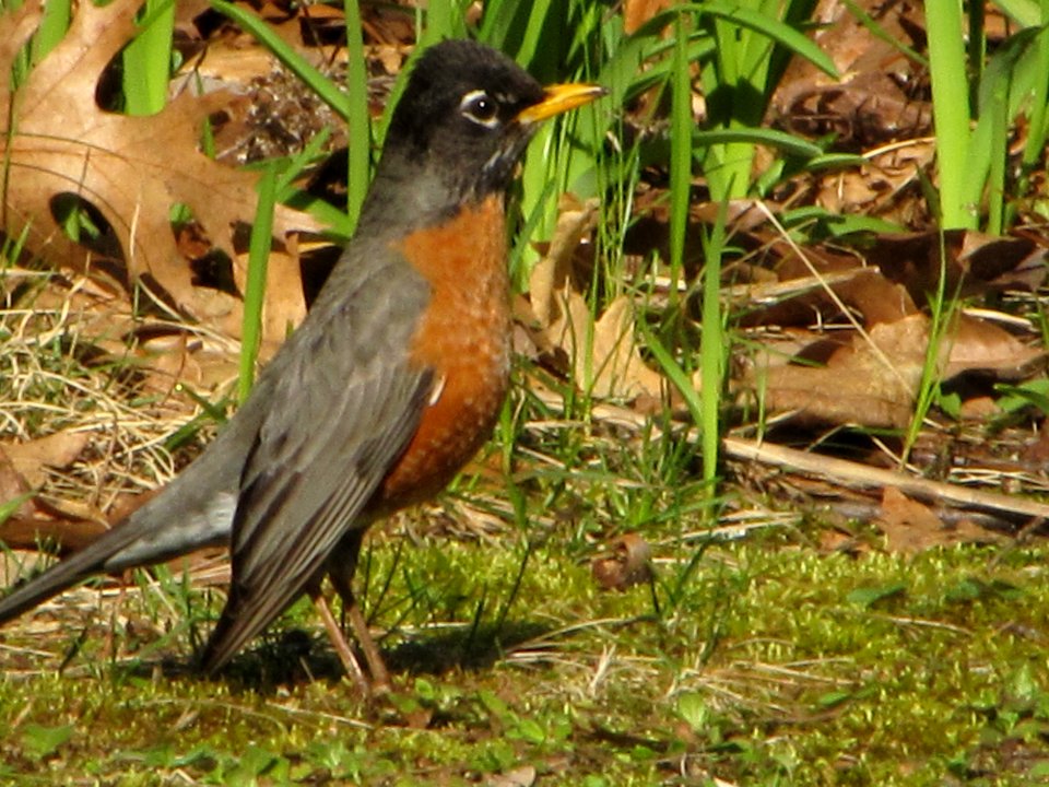 1 March 2012 271